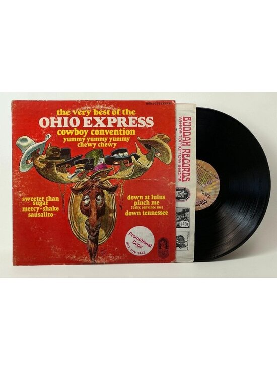 Buddah Records Other - The Ohio Express Very Best Of Vinyl LP 1970s Rock DJ Promo Compilation Buddah